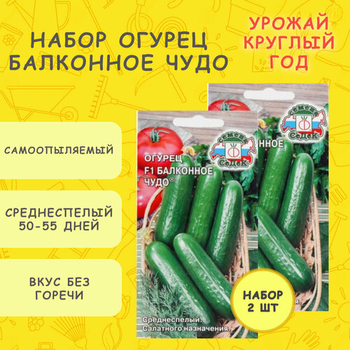 ������ ������ ������ ��������� ������� , ������ ��� ����������� ������������� ����