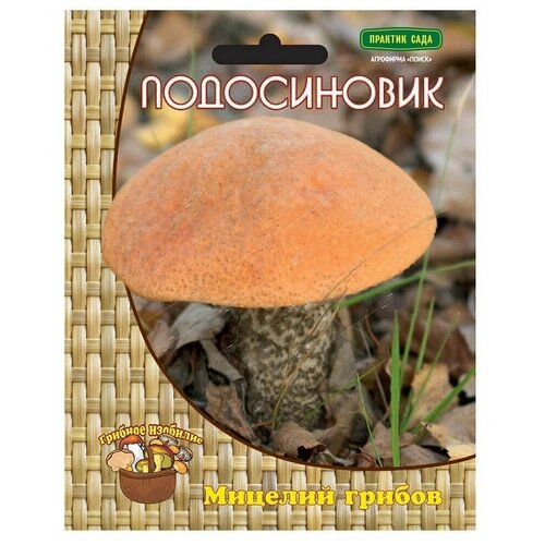 ������ ������ ����������� (������� �� ��������), �� ����