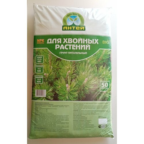 ������ ������ ����� ��� ������� 50 � ����