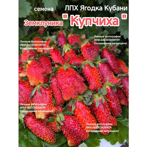 ������ ������ ������ ���������� 