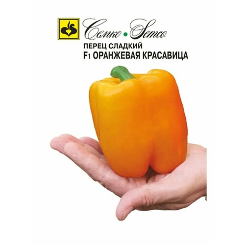 ������ ������ ������ ����� ������� 