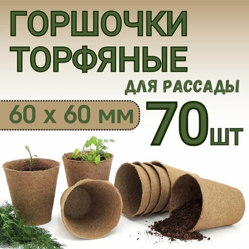 ������ ������ �������� ���������� �������� ������� ��� ������� � ����������� ������� �� ������������ ����� 60*60 ��, ����� 70 �� ����