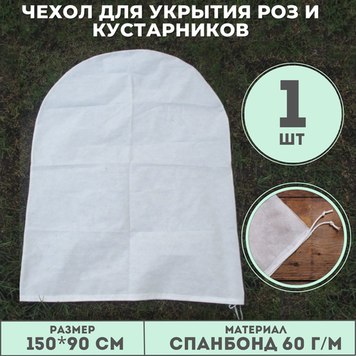 ������ ������ ������ ����� - ������� (150*90 ��) � ��������� - 1 ��/��, 60 �� ��� ��� � ����������� �� ���������, ��� ������� ����