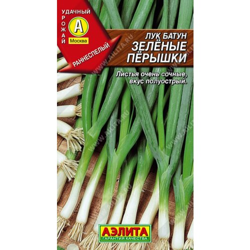 ������ ������ ������ ��� ����� ������� ������� 1� ������ (������) ����