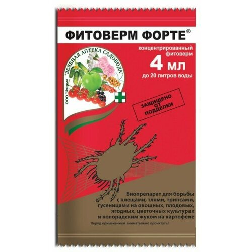 ������ ������ �������� ����� �� ������ � ������ ���������� (4 ��) ����