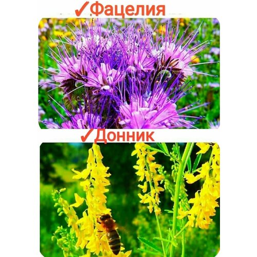 ������ ������ ����� ���������� �����/����/���������, 400�� (������+�������), �������� ������ � ������, 100% ��������� ����