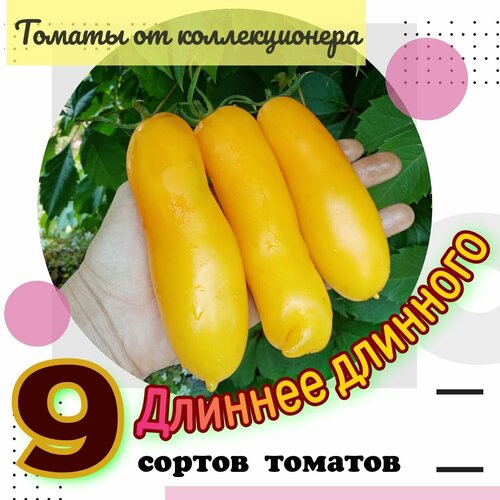 ������ ������ ������ �������, 9 ������ ������������� �������, 90 ����� ����