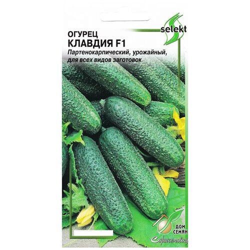 ������ ������ ������ ������� F1, 8 ����� ����