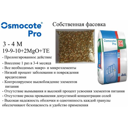    3-4  0,5 . Osmocote Pro 3-4 M 19-9-10+2MgO+TE   -     , -,   