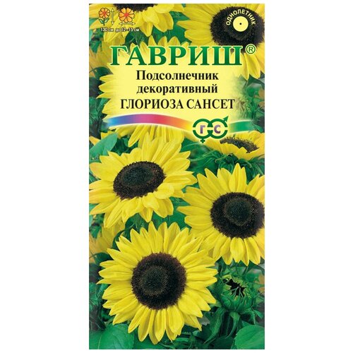 ������ ������ ������ ������������ ������������ �������� ������, 0,5�, ������, ��������� ���������, 10 �������� ����