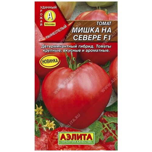 ������ ������ ������. ����� 