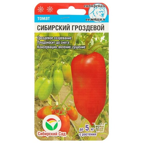 ������ ������ ������ ����� ��������� ��������� 20�� ��� ������ (��������� ���) ����