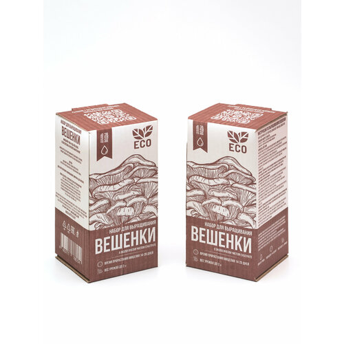 ������ ������ ����� ��� ����������� ������� 2 ��. /�������� �������� ������� ����