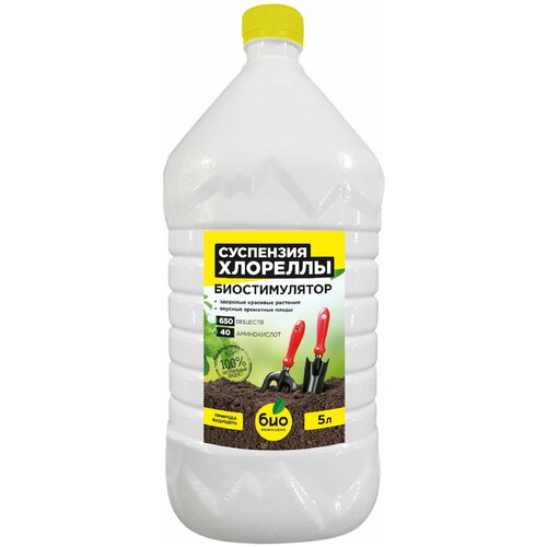 ������ ������ ��������� ���-�������� ��������� ��������, 5 �, 4868 � ����