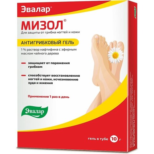 ������ ������ ����� ����, 10 �, 10 �� ����