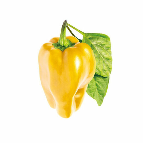  Click And Grow   Click And Grow Yellow Sweet Pepper 3 .    Click And Grow      -     , -,   