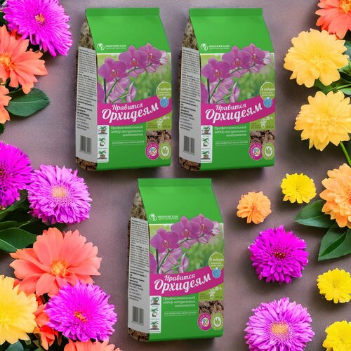 ������ ������ ����� ��� ������� ��������� 2� / 3��. ���������� ��������� ���������. ����