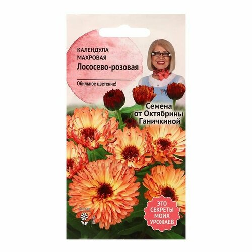 ������ ������ ������ ������ ��������� 