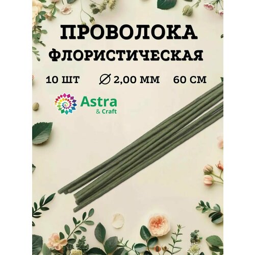 ������ ������ ��������� �������������� ������� 2 ��*60 ��, 10 ��, � �������� �������, Astra&Craft ����