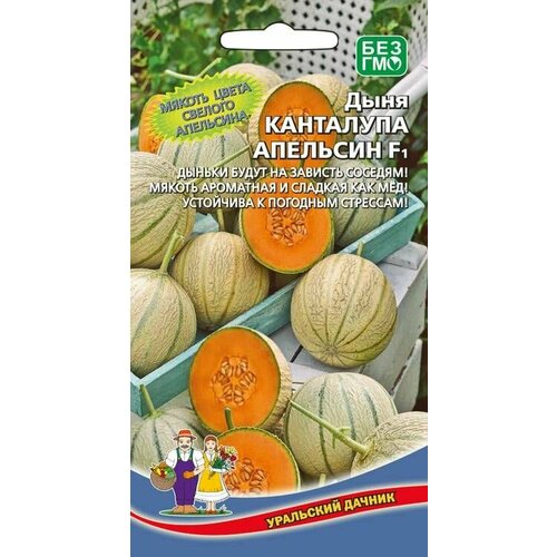 ������ ������ ���� ��������� �������� F1, 1 �����, ������ 6��, ��������� ������ ����