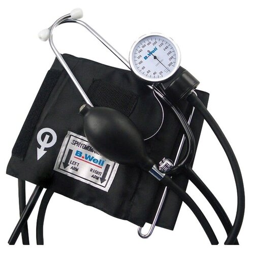 ������ ������ �������� B.Well WM-63S ����