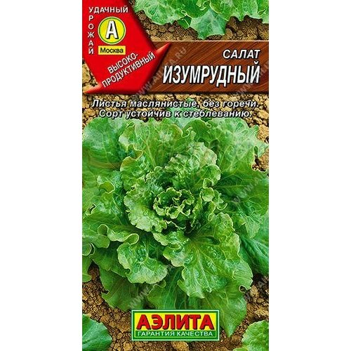 ������ ������ ������ ����� ���������� �������� 0,5 � (������) ����