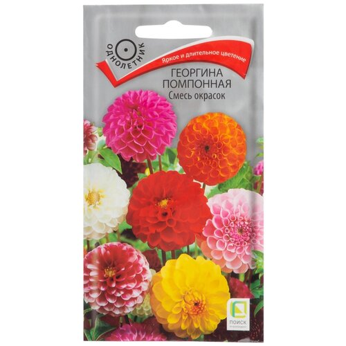 ������ ������ ������ �������� ����� �������� ����� ������, 0.3� ����