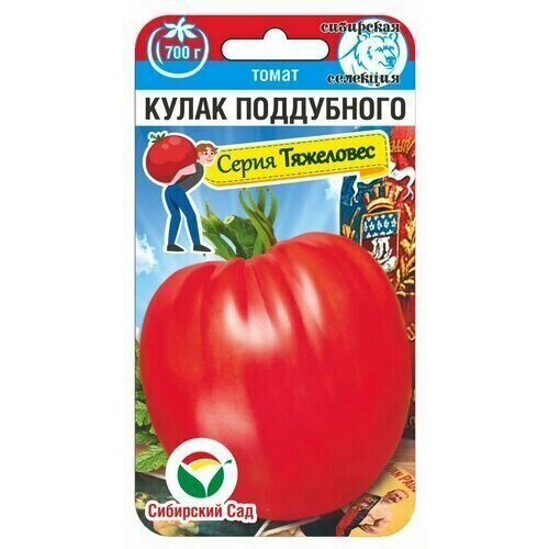 ������ ������ ������ ����� ����� ���������� 20�� ����� (��������� ���) ����