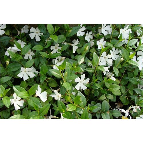 ������ ������ ������ �������� ����� ����� 0,05 � (1 ��������) ����