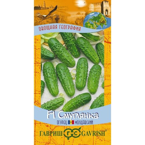 ������ ������ ������ ������ ��������� F1 10�� ������������������ ������ (������) ����