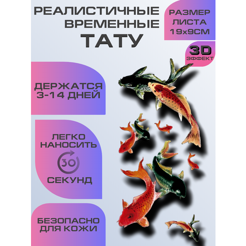 ������ ������ ���� ���������� ��������������, ��������� 3D ���� ����