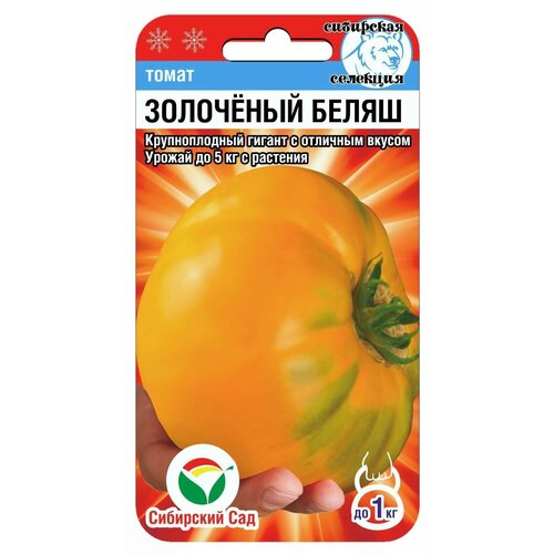 ������ ������ ����� ��������� ����� 20�� (���. ���) ����