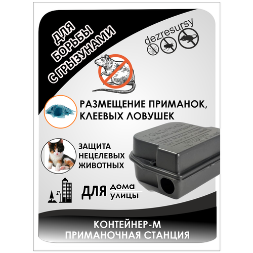 ������ ������ ���������-� ����