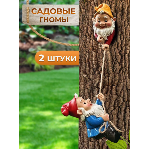 ������ ������ ������� ������� �� ������� ����