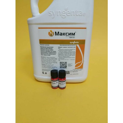 ������ ������ ������������ ������ 2 �� �� 10 �� ����