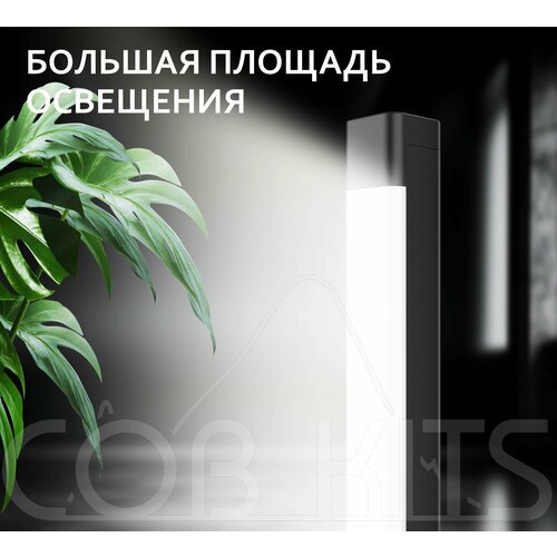 ������ ������ ���������� ������������ ��� ��������� ������������� �������� ����