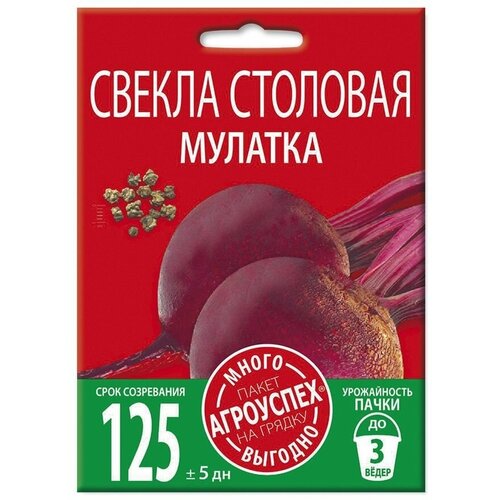 ������ ������ ������ �������, ������ ��������� �����-������� 6� ����