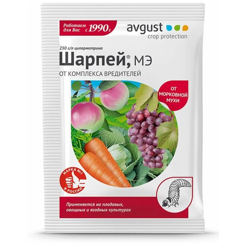  Avgust     , 1.5 , 10    -     , -,   