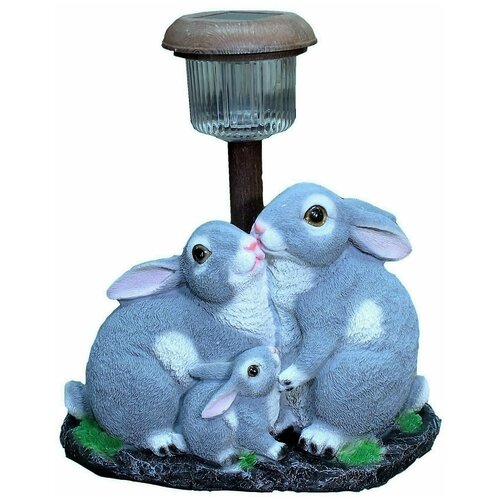 ������ ������ ������� ������� ����� � ������ ������� ,21 �� ����