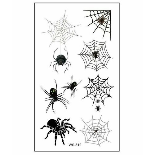 ������ ������ ���������� ���� ��������� ����� �������� ����