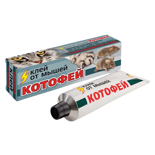 ������ ������ ������� ������� ���� ��������� �������, ���� 135 � ���������� 1 ��. ����