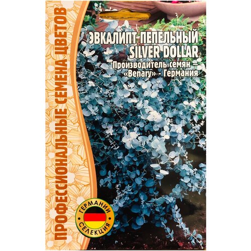 ������ ������ ������ ��������� ���������� 