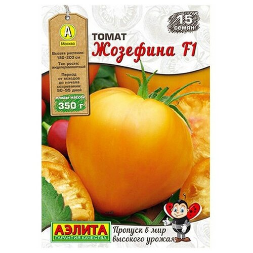 ������ ������ ������ ��������� ������ ����� �������� F1 15 ��. ����