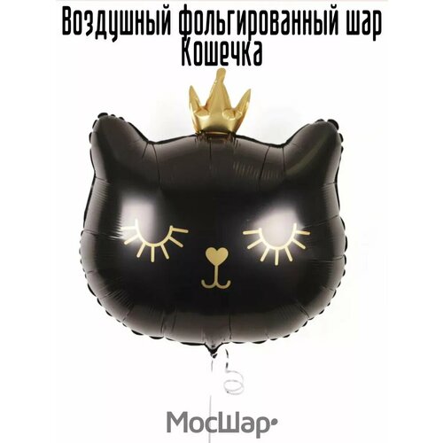 ������ ������ ��������� ��� �������������� ������� ��������� ������ 56 ��, ������ ����