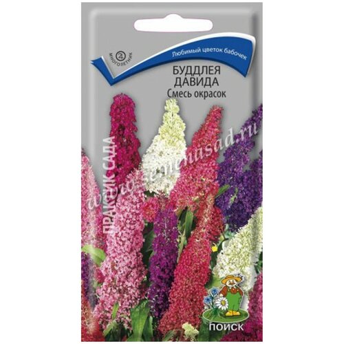 ������ ������ ������ ����� ������� ������ ����� ������� 10 ��. ����