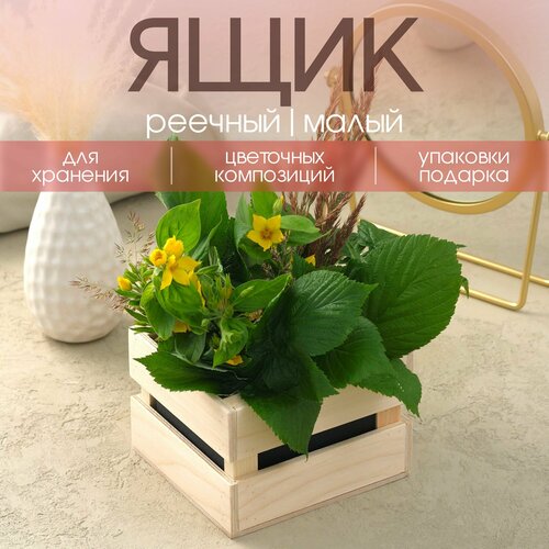 ������ ������ ���� ������� / ����� ��� ������ / ������� ��� �������� � ������� ����