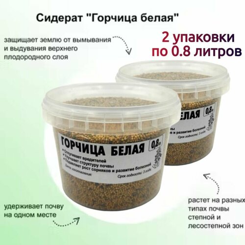 ������ ������ ������� 