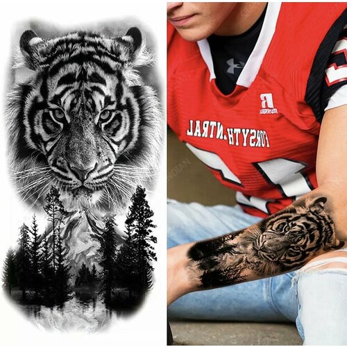 ������ ������ ���� ���������� ��������� ��� ������ � ������ ����