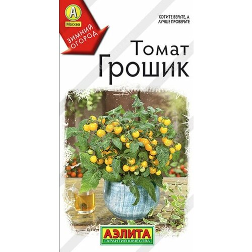 ������ ������ ������ ����� ������ ����� 10�� ��� ������ (������) ����