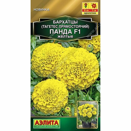 ������ ������ ������ �������� ����� F1 ������ ����, ����������, (������) 7�� ������� ����� ����